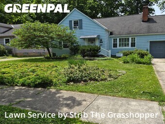 Lawn Mowing nearby Cleveland Heights, OH, 