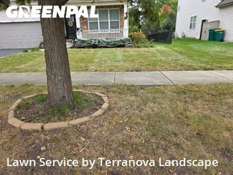 Yard Maintenance in Romeoville, 60446, Weed Trimming by Terranova Landscape, work completed in Nov , 2025
