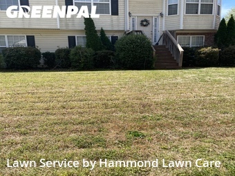 Yard Cutting nearby Woodstock, GA, 