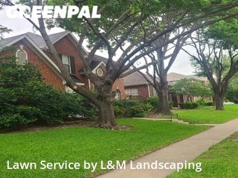 Lawn Mowing nearby Plano, TX, 