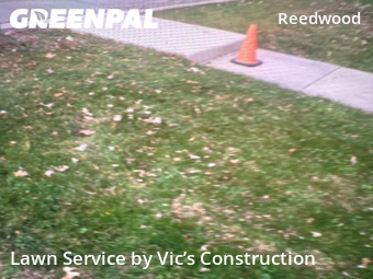 Yard Cutting nearby Joliet, IL, 