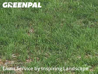 Grass Cutin Centennial,80112,Lawn Service by Inspiring Landscape, work completed in Nov , 2025