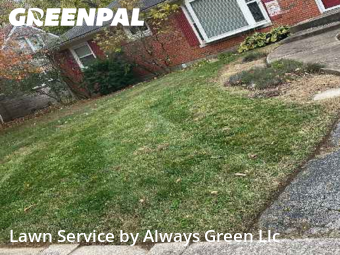 Lawn Cutting nearby Lexington, KY, 