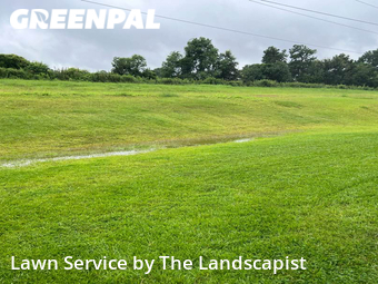 Grass Cut nearby North Charleston, SC, 