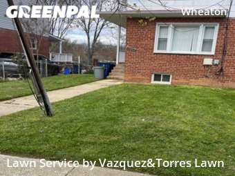 Yard Cutting nearby Silver Spring, MD, 