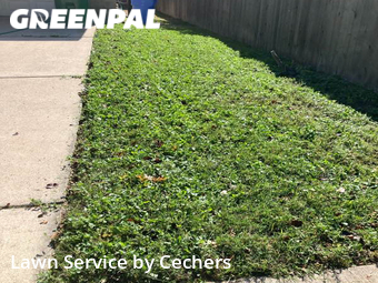 Lawn Care nearby Pflugerville, TX, 