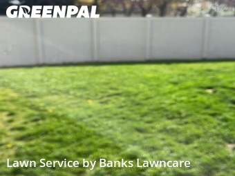 Lawn mowed in Meridian, 83646