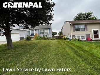 Grass Cut nearby Omaha, NE, 