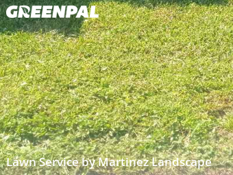 Mowing Services in Horizon West, 34786, Grass Care by Martinez Landscape, work completed in Dec , 2025