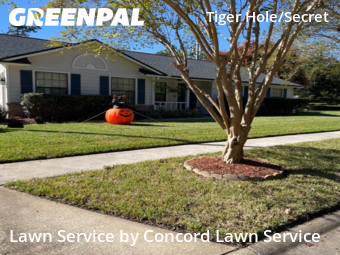 Lawn Mow nearby Jacksonville, FL, 