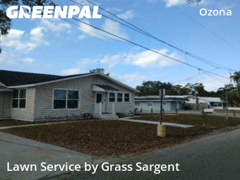 Lawn Maintenancein Palm Harbor,34683,Lawn Service by Grass Sargent, work completed in Feb , 2026