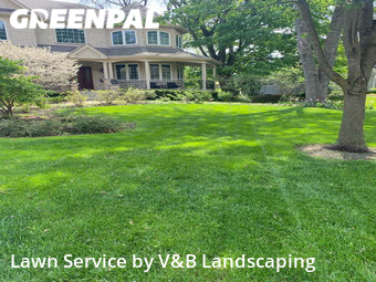 Lawn Service nearby Naperville, IL, 