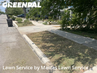 Yard Cutting nearby San Antonio, TX, 