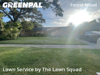 Grass Cut nearby Clearwater, FL, 