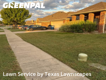 Lawn Mowing Servicein Wylie,75098,Yard Cutting by Texas Lawnscapes, work completed in Feb , 2026