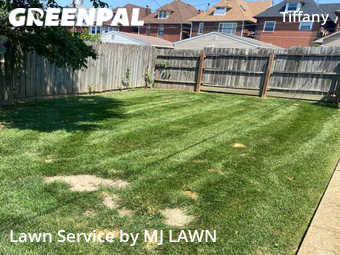 Lawn Mow nearby St. Louis, MO, 