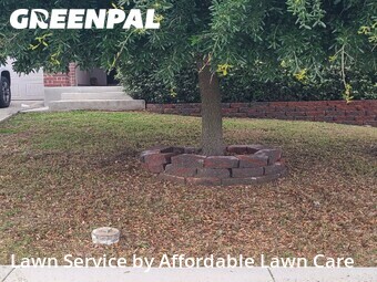 Lawn Service nearby New Braunfels, TX, 