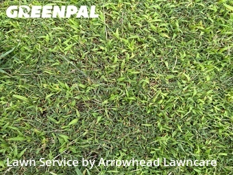 Lawn Care Service nearby Harrison, FL, 