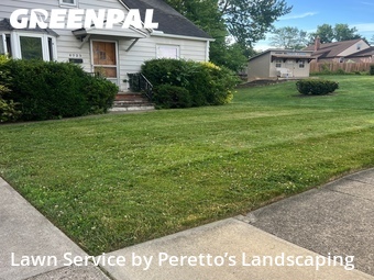 Lawn Cutting nearby Garfield Heights, OH, 