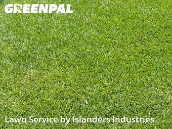 Grass Cut nearby Baton Rouge, LA, 