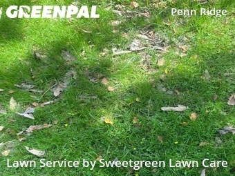 Lawn Mowing Service nearby Pittsburgh, PA, 