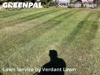 Lawn Cutting nearby Fort Collins, CO, 