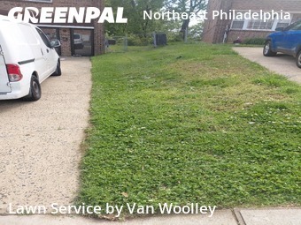 Lawn Cut nearby Philadelphia, NJ, 