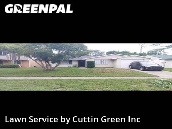 Lawn Mow nearby Citrus Park, FL, 