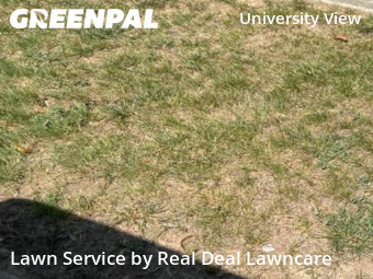 Lawn Cutting nearby Columbus, OH, 