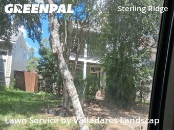 Yard Cuttingin The Woodlands,77382,Lawn Mowing by Valladares Landscap, work completed in Oct , 2025