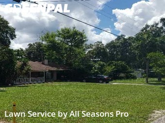 Lawn Cutting nearby Brandon, FL, 