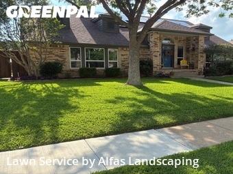 Yard Cutting nearby The Colony, TX, 