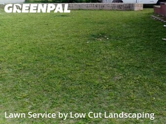 Yard Cutting nearby Macon, GA, 