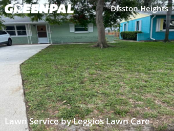 Grass Cut nearby St. Petersburg, FL, 