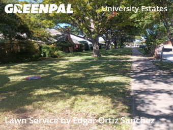 Lawn Carein Plano,75075,Lawn Mowing Service by Edgar Ortiz Sanchez, work completed in Dec , 2025