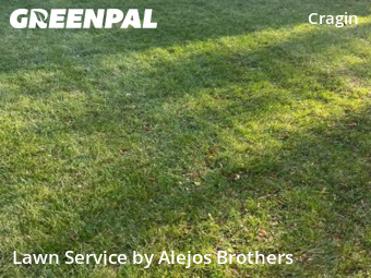 Landscaping Renovation In Chicago,60639,Landscapers by Alejos Brothers, work completed in Dec , 2025