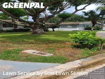 Lawn Maintenance nearby Dunedin, FL, 