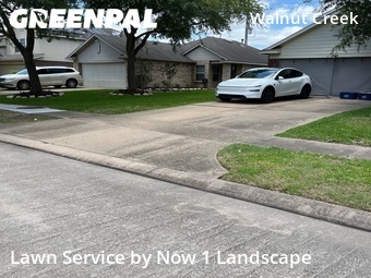 Yard Cutting nearby Rosenberg, TX, 