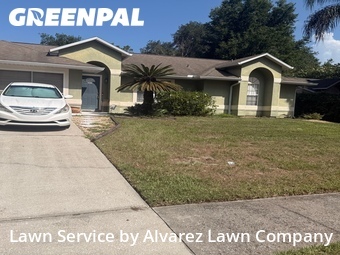 Lawn Carein Ocoee,34761,Grass Cutting by Alvarez Lawn Company, work completed in Jun , 2026