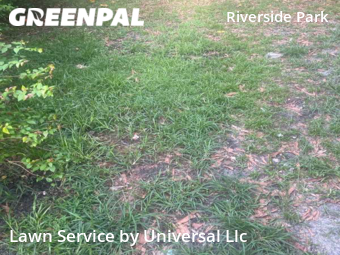 Lawn Mowing Service nearby Fort Lauderdale, FL, 