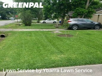 Lawn Service nearby La Porte, TX, 