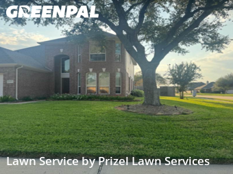 Lawn Maintenancein Pearland,77584,Grass Cutting by Prizel Lawn Services, work completed in Nov , 2025