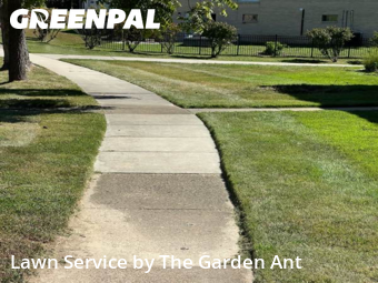 Grass Cutin Chesterfield,63017,Lawn Service by The Garden Ant , work completed in Dec , 2025