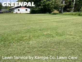 Lawn Mow nearby Kingsport, TN, 