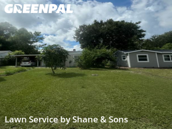 Lawn Care Service nearby St. Petersburg, FL, 
