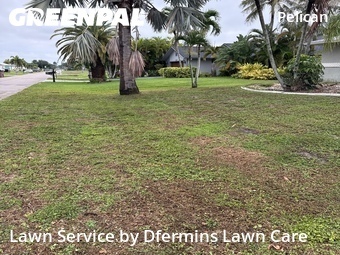 Grass Cut nearby Cape Coral, FL, 