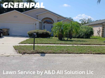 Lawn Cutting nearby Clermont, FL, 