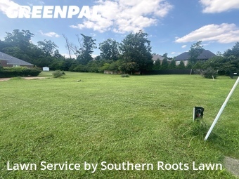 Grass Cut nearby Mount Juliet, TN, 