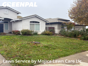 Landscaping Maintenance In Lincoln,95648,Landscaping Cleanup by Mojica Lawn Care Llc, work completed in Dec , 2025