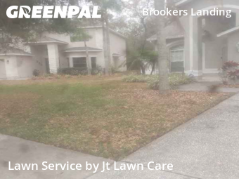 Yard Mowing nearby Palm Harbor, FL, 